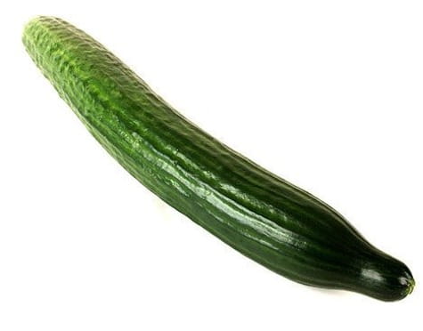 7960_1.jpg