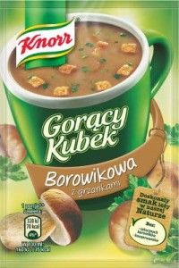 KNORR GORĄCY KUBEK BOROWIKOWA Z GRZANKAMI 15 G
