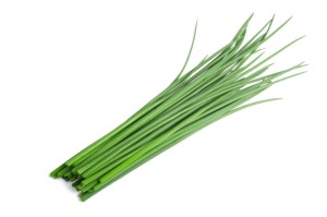 SZCZYPIOREK SZT.