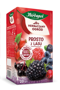 HERBAPOL HERBATA PROSTO Z LASU 20SZT